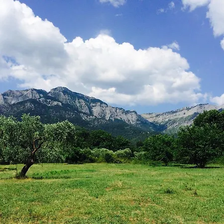 Ioannis Houses